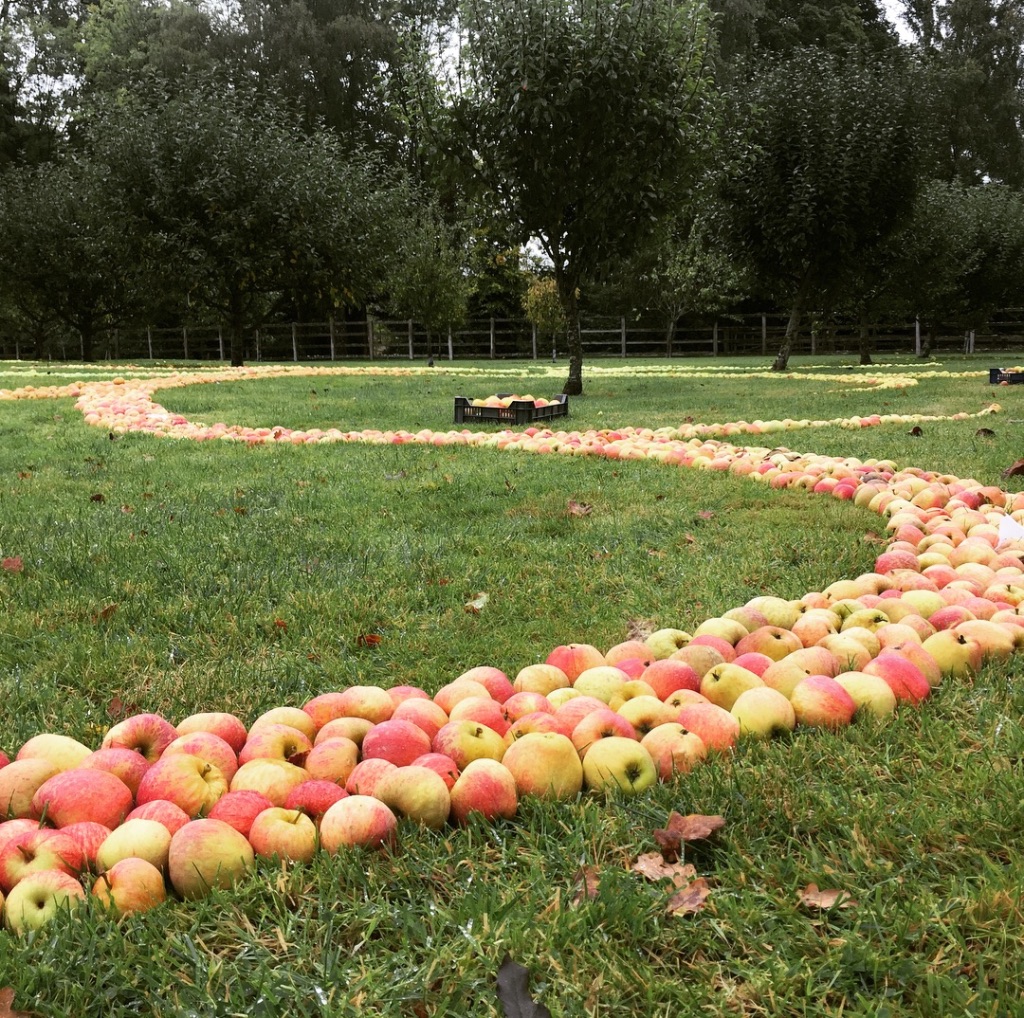 Kate Raggett land art